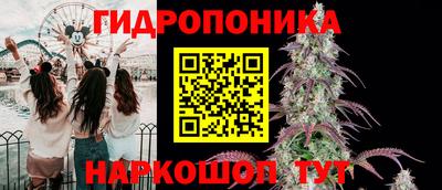 спиды Нарткала