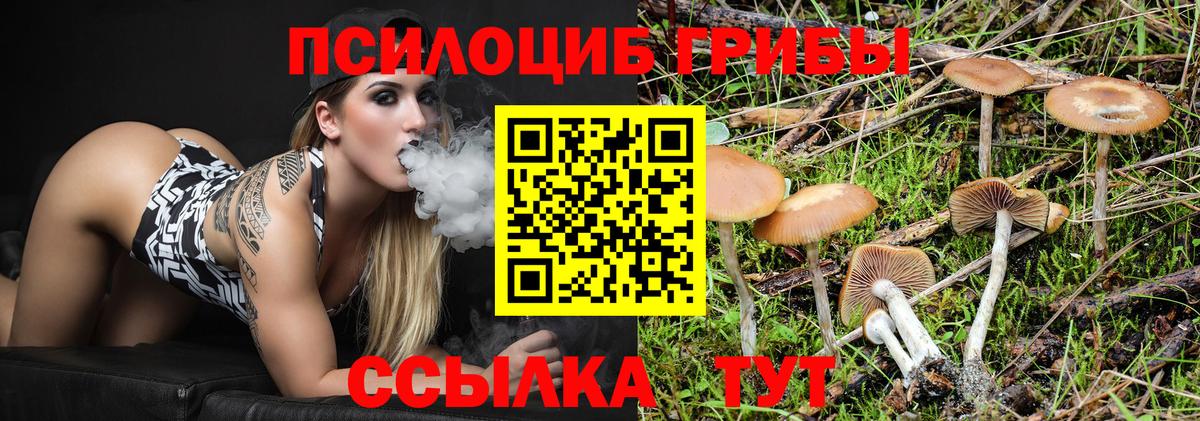Галлюциногенные грибы мицелий Тулун