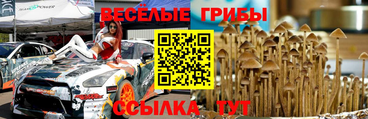 Тулун  Псилоцибиновые грибы MAGIC MUSHROOMS  Галлюциногенные грибы MAGIC MUSHROOMS  Вход с VPN 